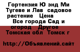 Гортензия Ю энд Ми Тугеве и Лав, садовое растение › Цена ­ 550 - Все города Сад и огород » Другое   . Томская обл.,Томск г.